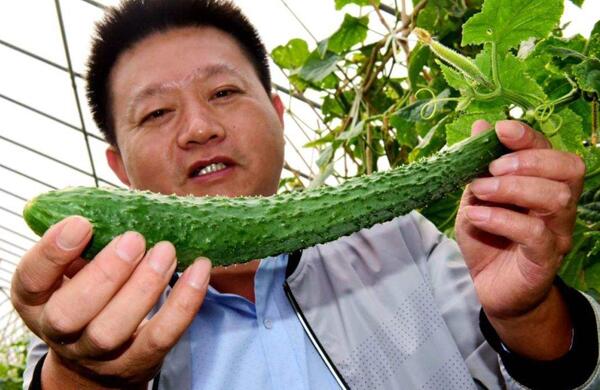 生鮮食材配送為什么大多不能與客戶建立長期合作？